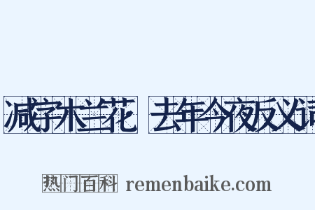 减字木兰花·去年今夜反义词是什么意思的图片